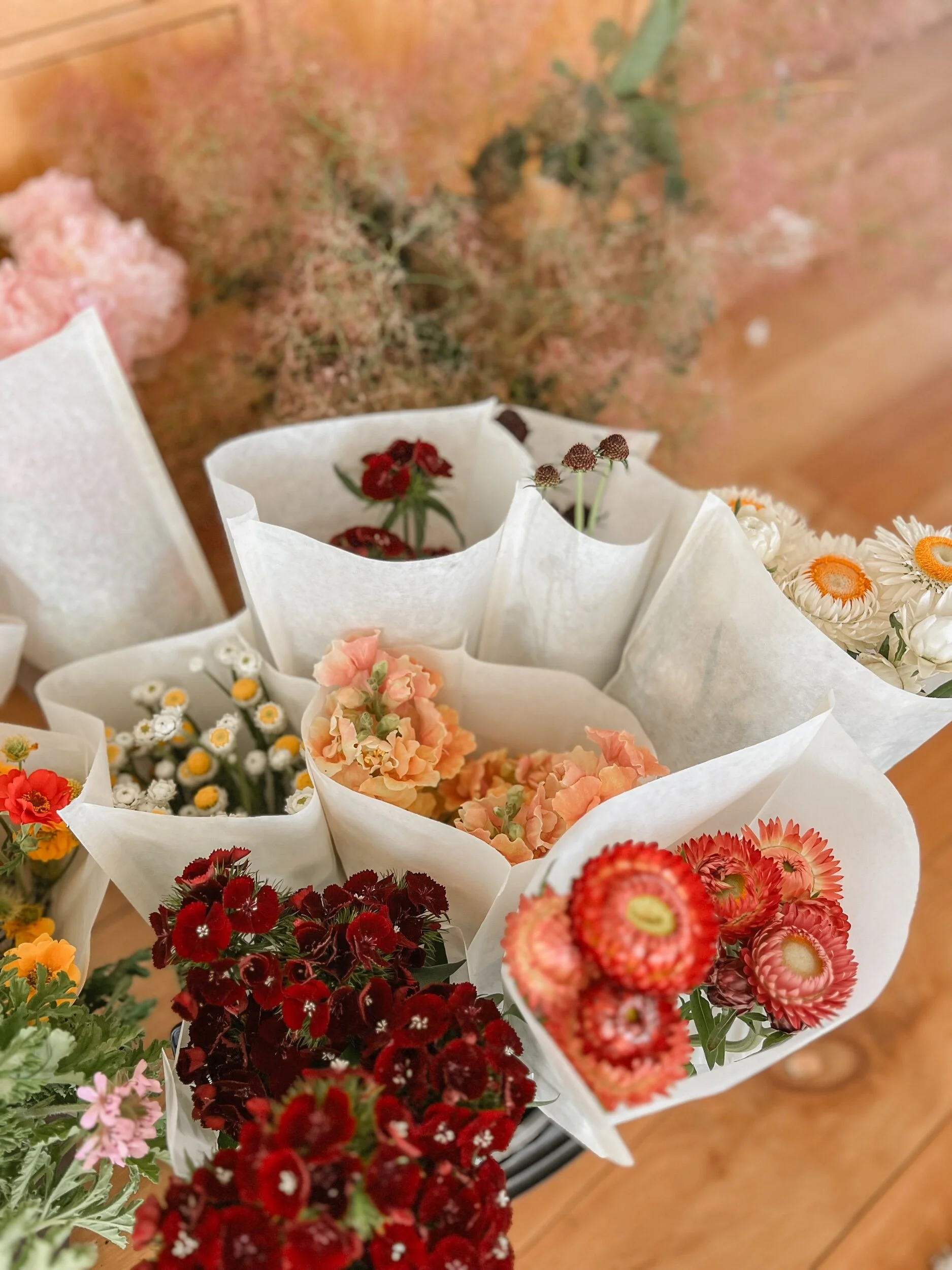 A78E732D-713D-4C7F-8F48-CAD62358DE8F