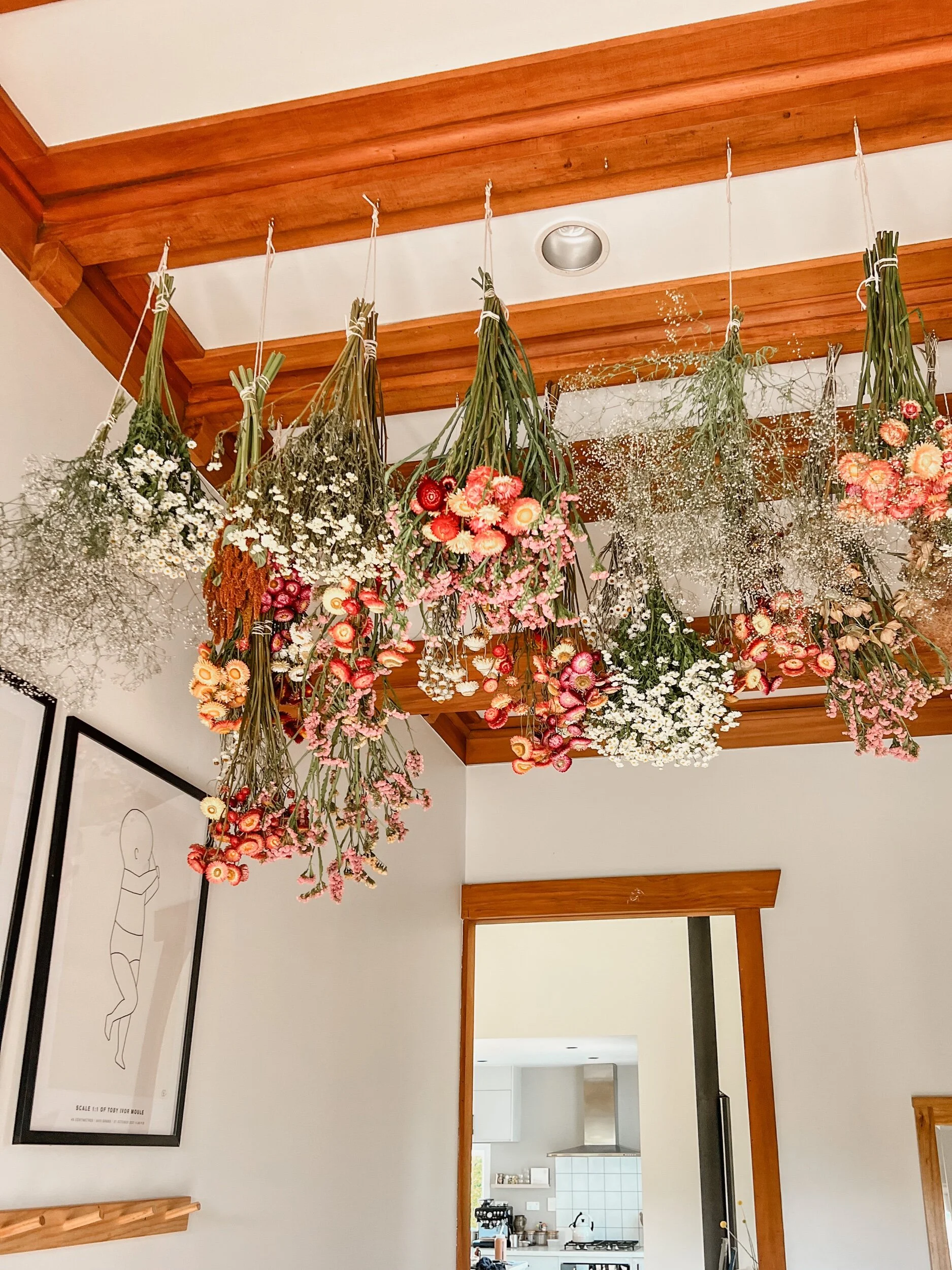 F8D1A412-C2C5-4180-8201-2FEB9B9F8D69