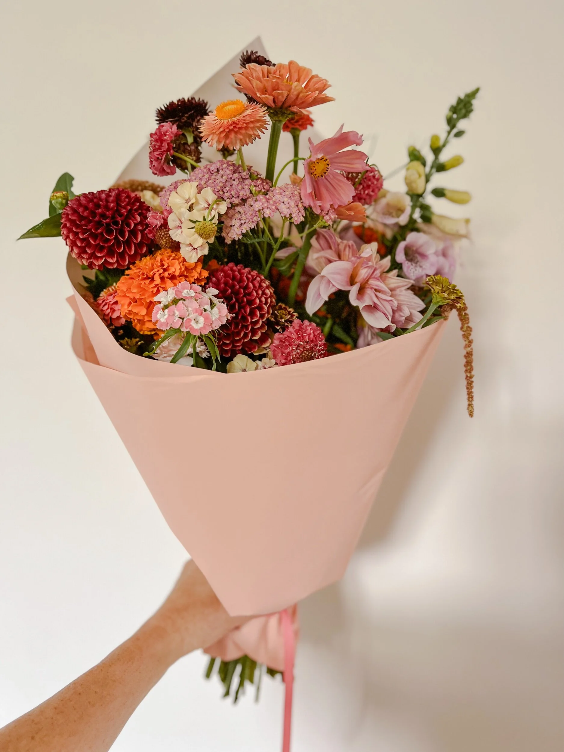 E2D55B93-5E01-4A2D-87DE-6FCE2B7210DC