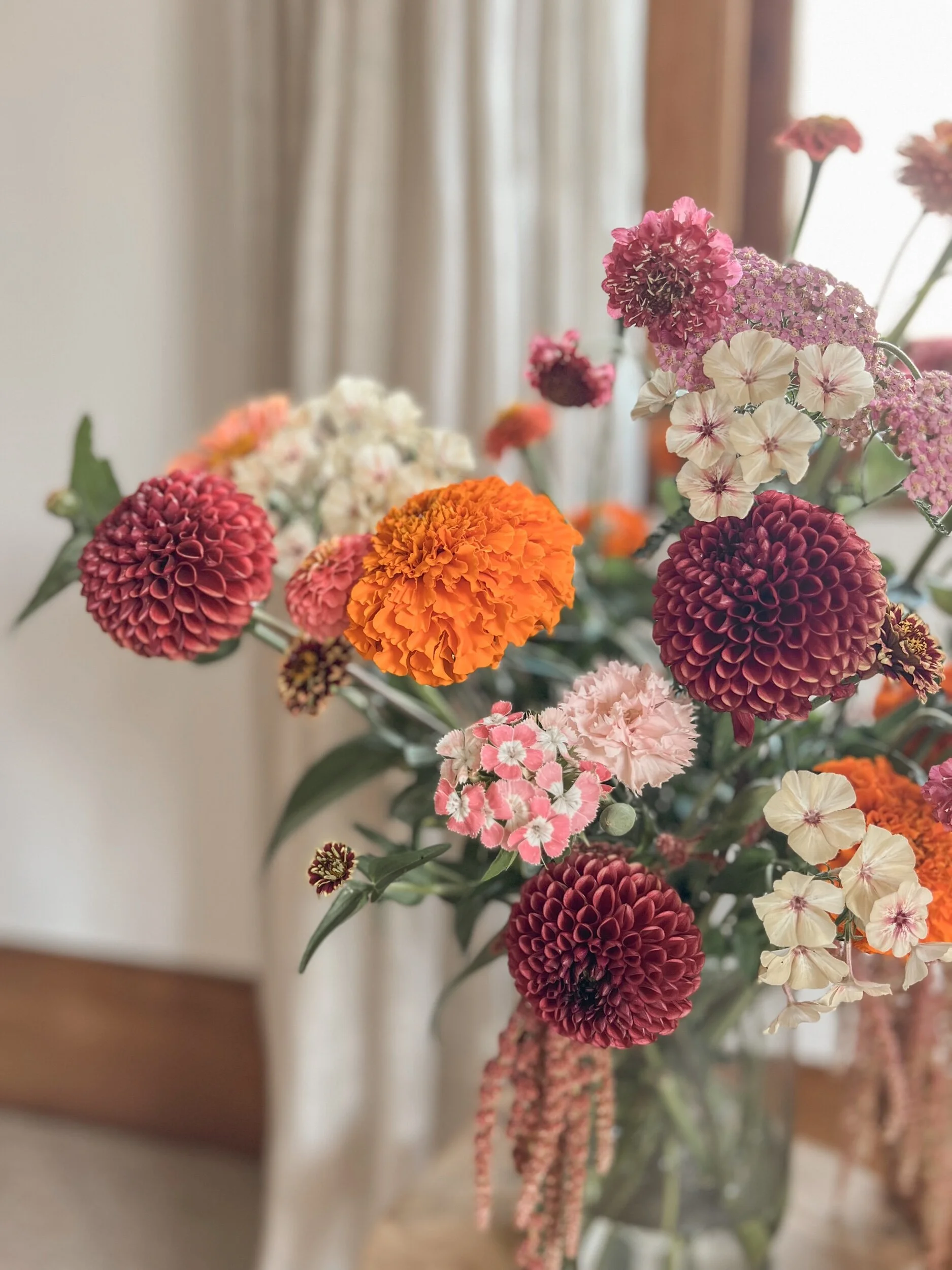 D2241D2A-041A-4106-A025-996828C14E35