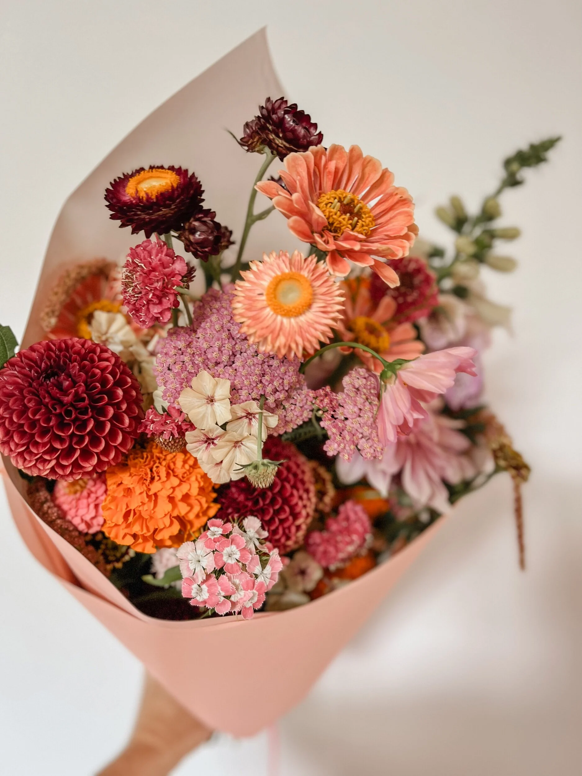 5AE4C8D4-1F29-4069-843D-98C239B75A58