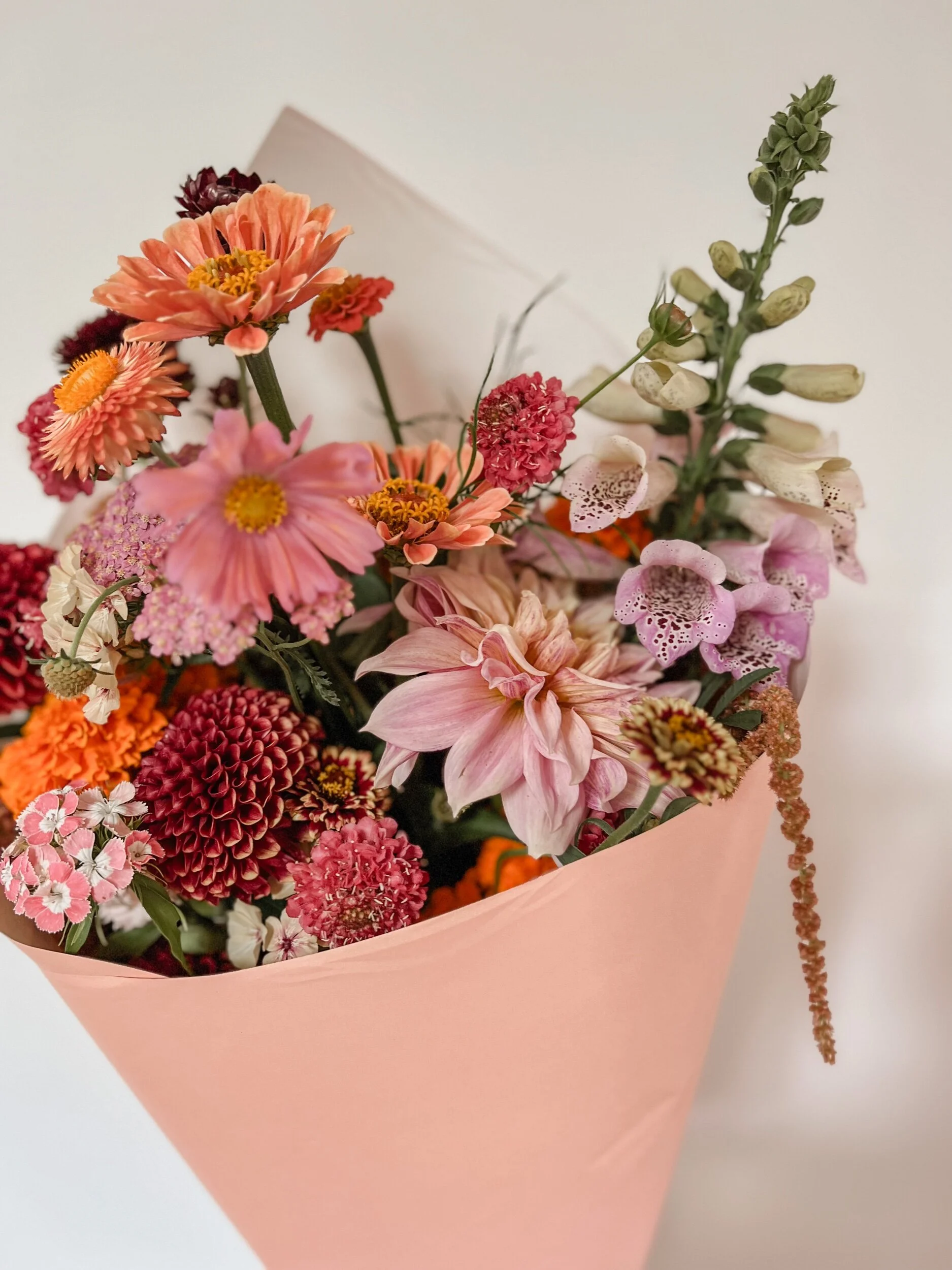 1B780EBA-1226-4177-86CE-E382915C7680