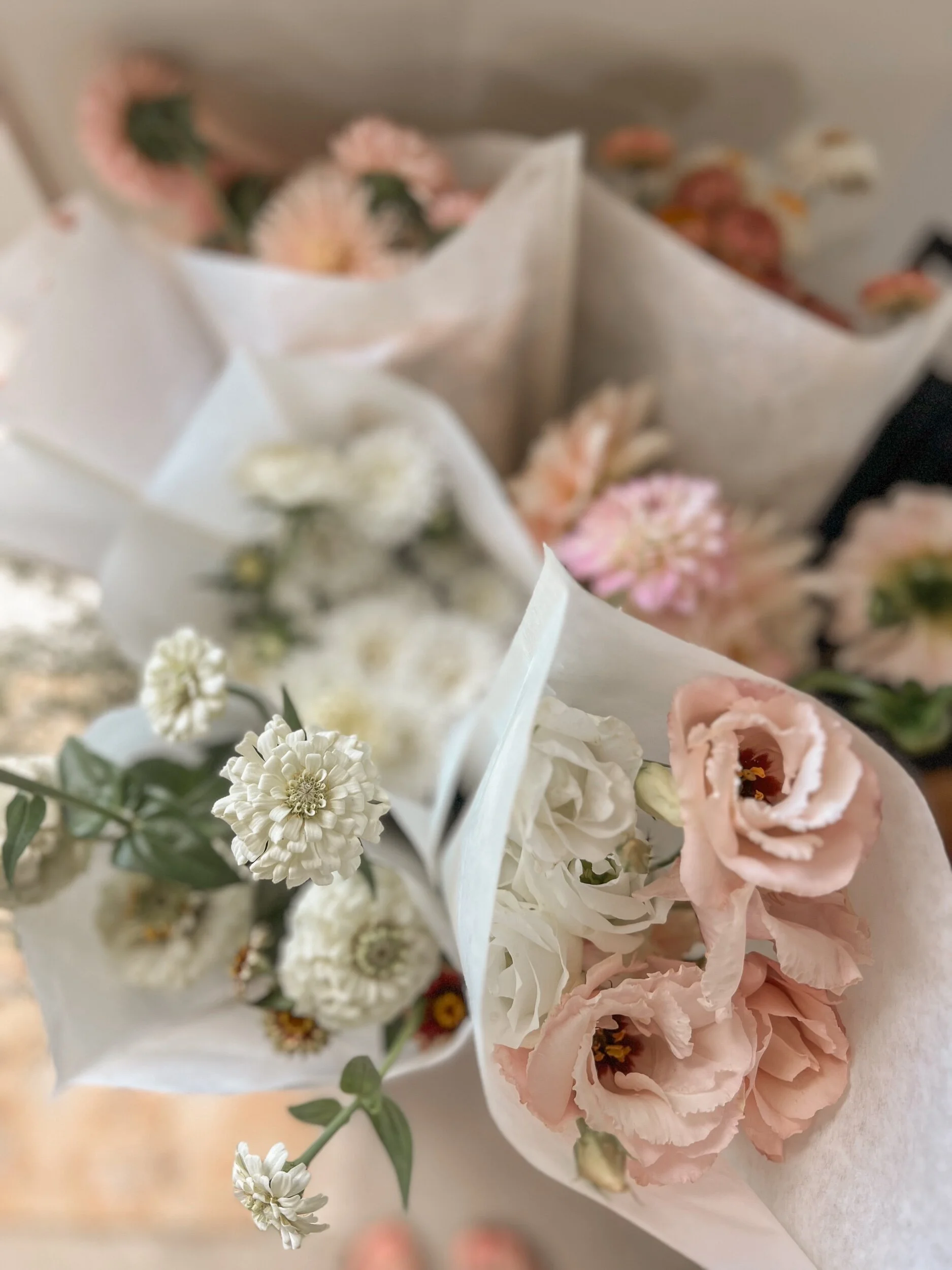 5F7A80E9-A1E7-43DA-A816-8C3DABE3CD74