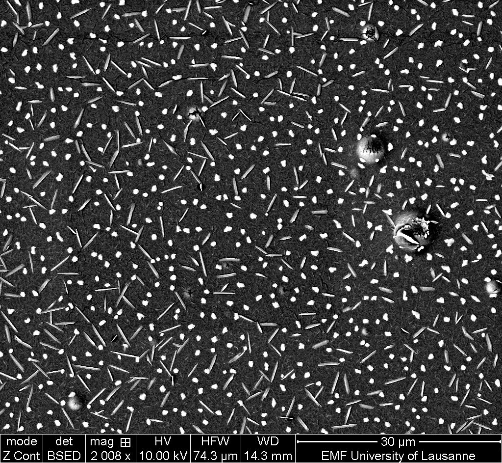   Experiment I , silver halides on Kodak Tmax 400 NB, front view, scanning electron microscope, 22.12.2016, Lausanne  