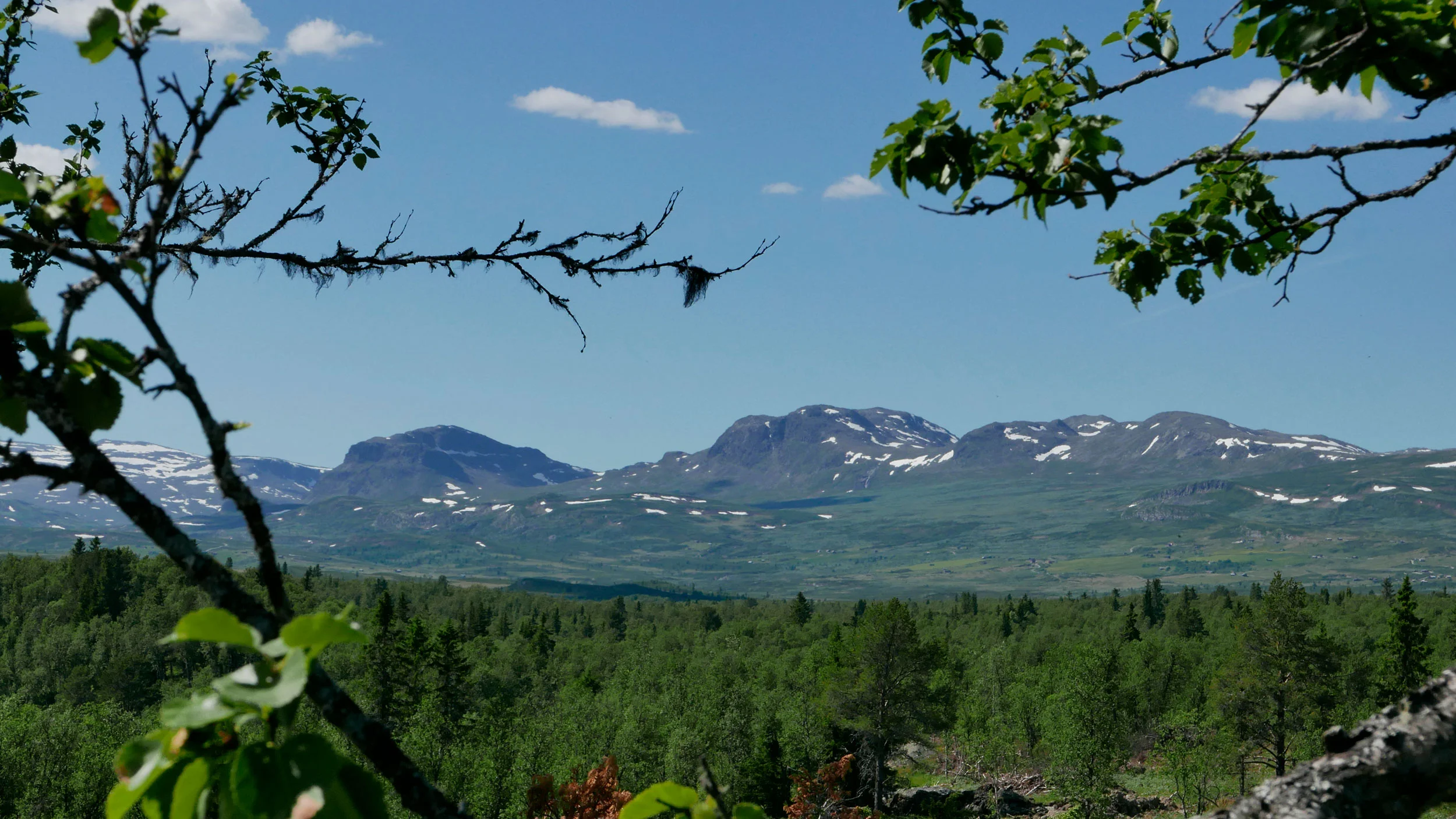 Oppheimsaasen_destinasjon_norge.jpg
