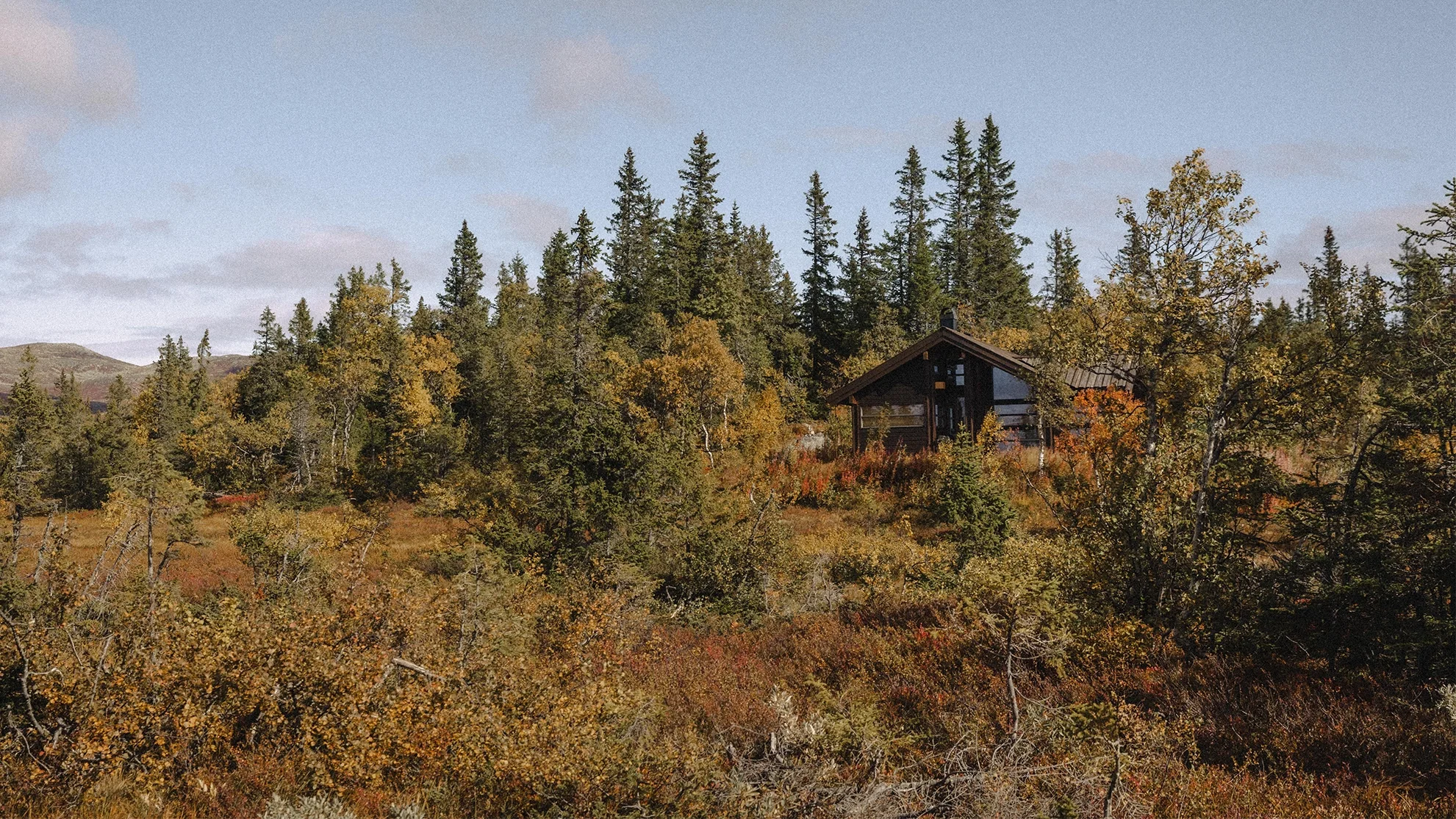  I 60 ÅR HAR VI SKILT OSS UT VED Å PASSE INN 