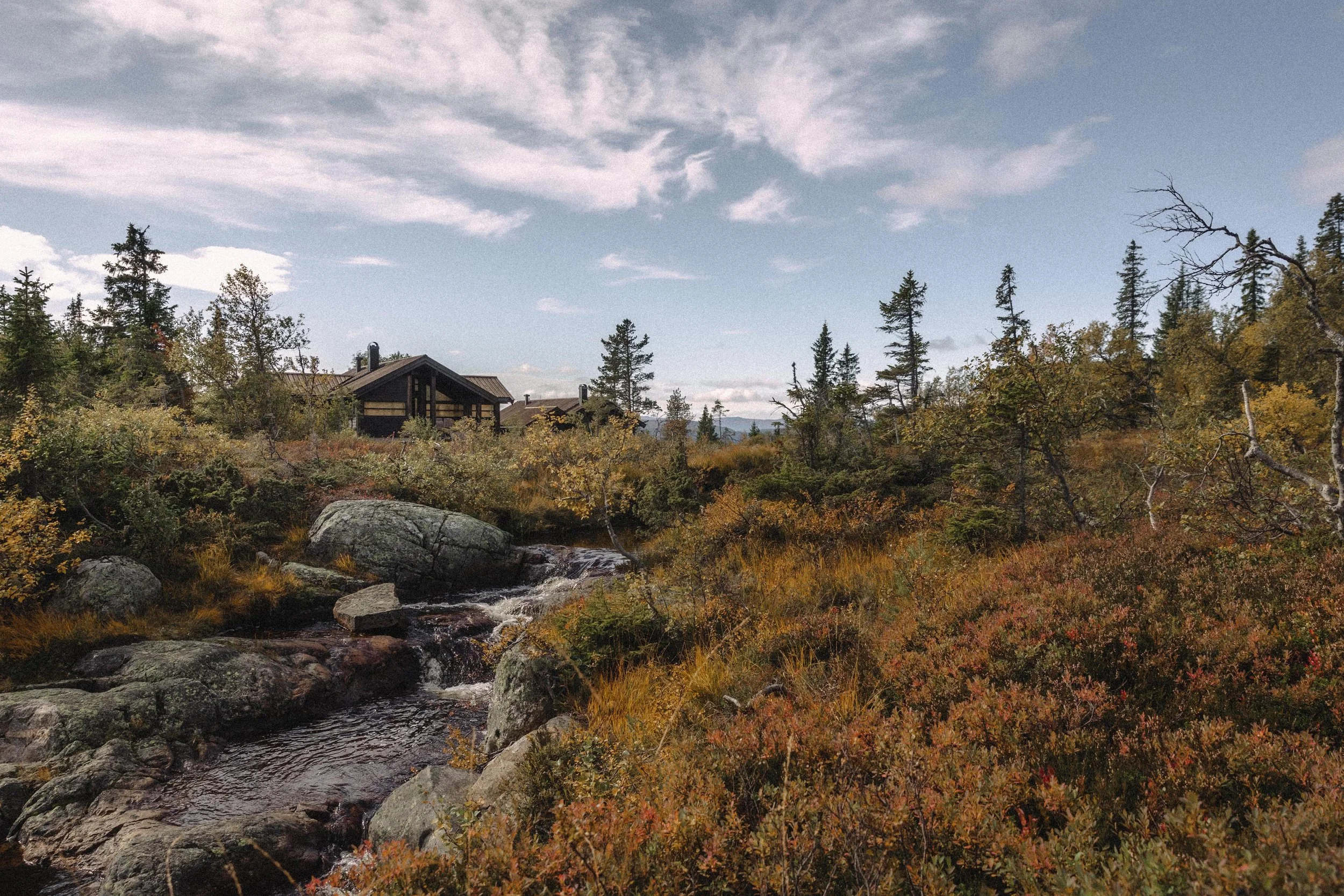  I 60 ÅR HAR VI SKILT OSS UT VED Å PASSE INN 
