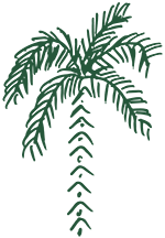 TCP Icon Green (web) 200px.png