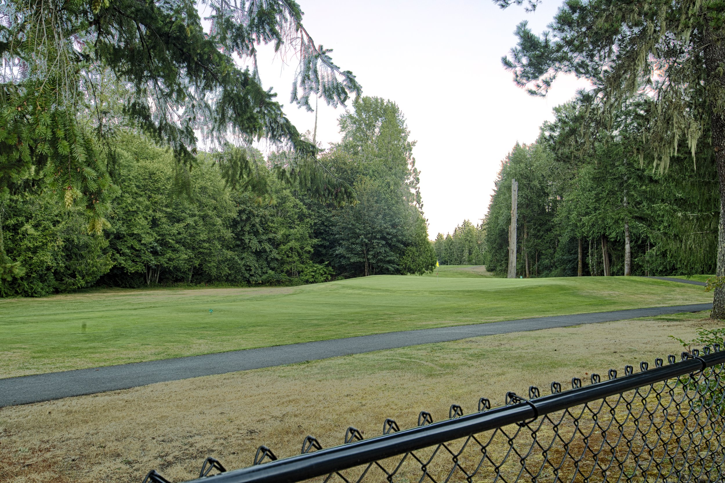 golf course view from backyard of lake cushman rental.jpg