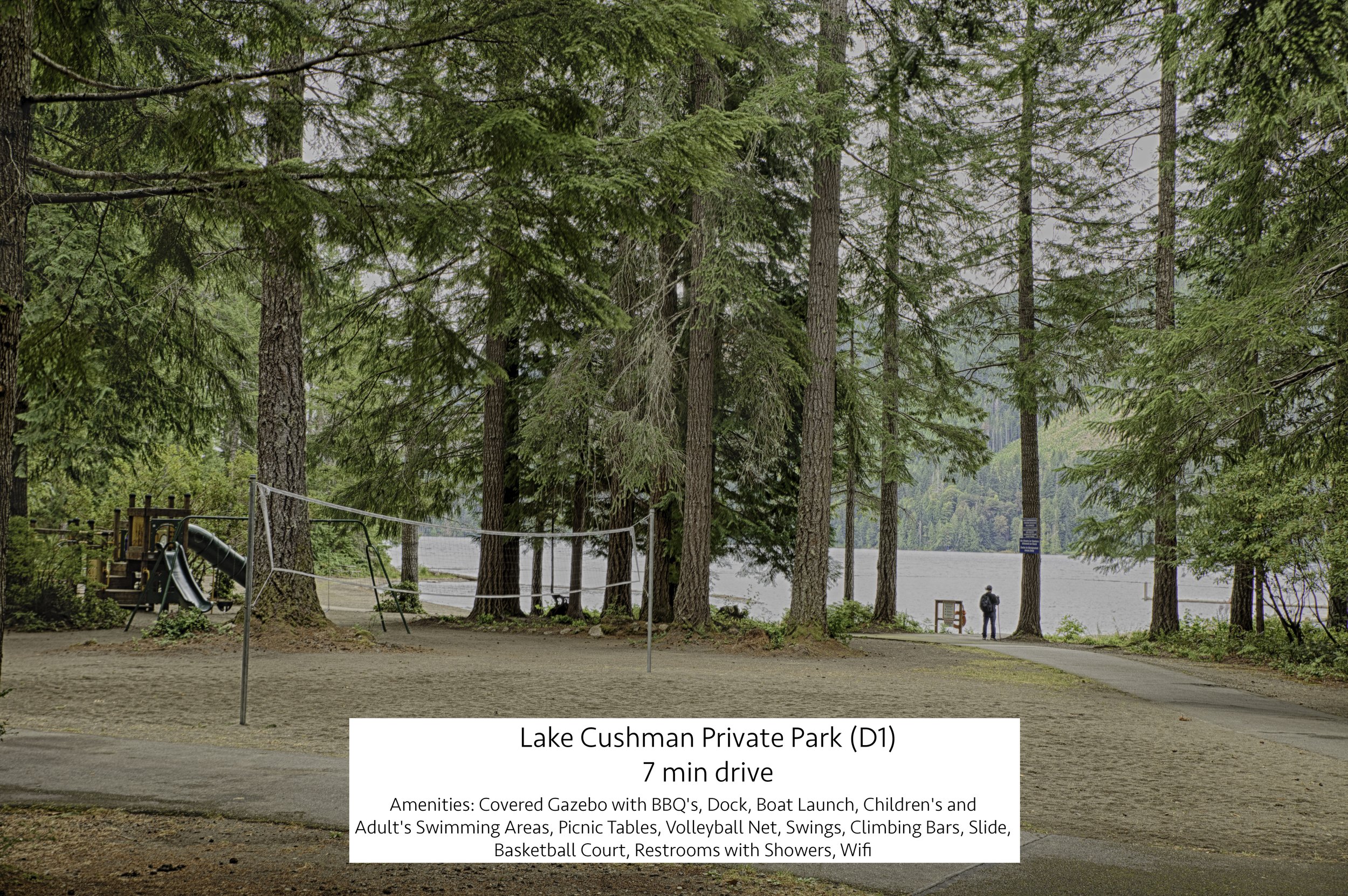 lake cushman volleyball beach.jpg