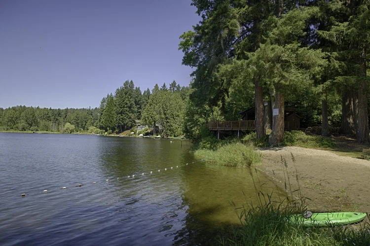 Cottage Lake shoreline with tall firs, small beach, green kayak and clubhouse deck