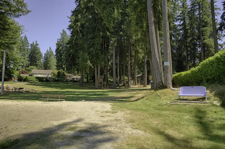Grassy park at Cottage Lake Beach Club with tall firs, purple bench and picnic tables