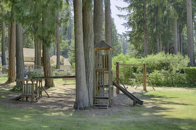 Wooden play structure with slide and swing set under tall evergreens at the beach club