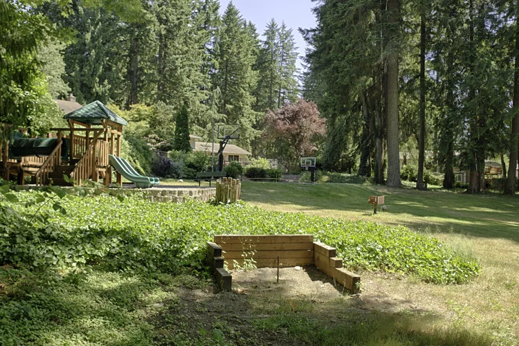 Beach club grounds with lawn, wooden play structure with green slides and evergreens