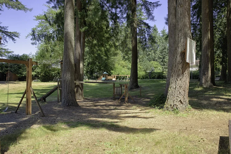 Shaded lawn among tall firs with wooden swing set and play structures beyond