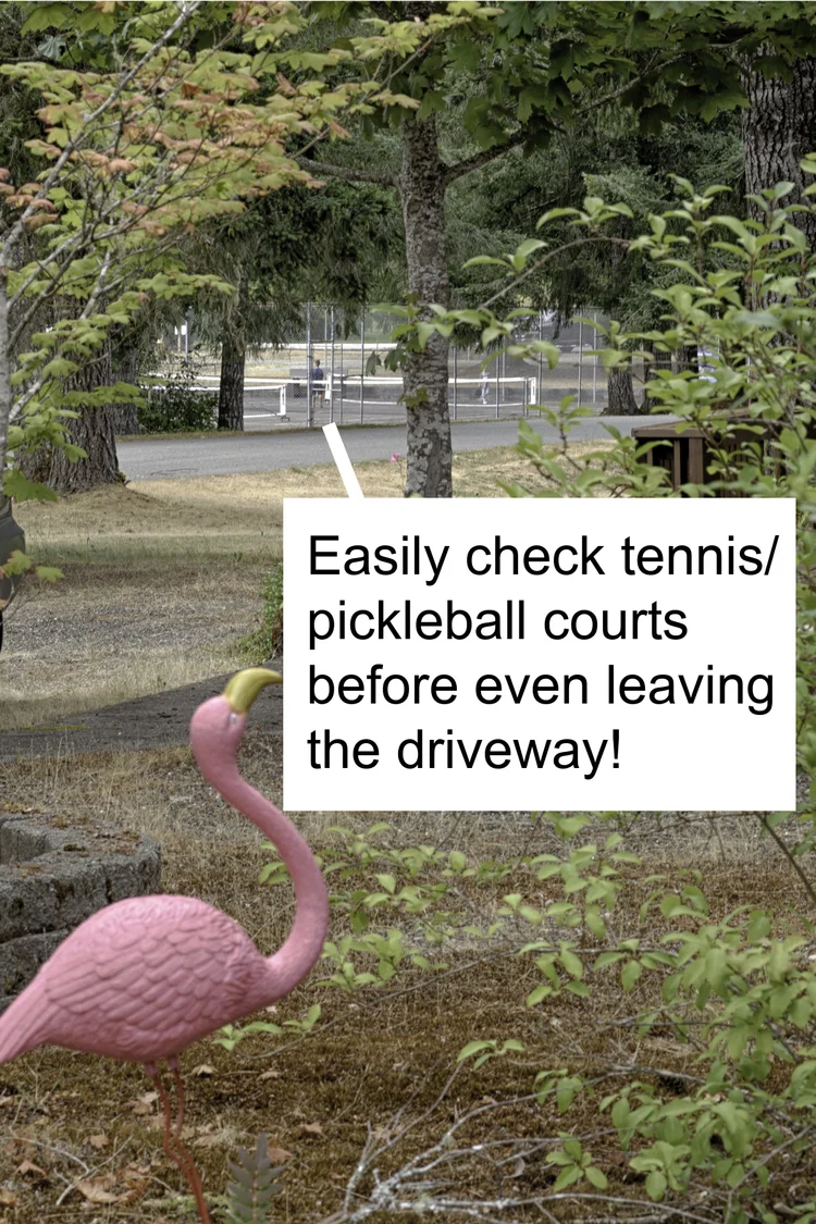 Pink lawn flamingo with callout: easily check tennis and pickleball courts before leaving the driveway