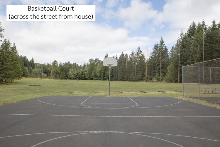 Outdoor basketball court across the street from the house, with open field and evergreens