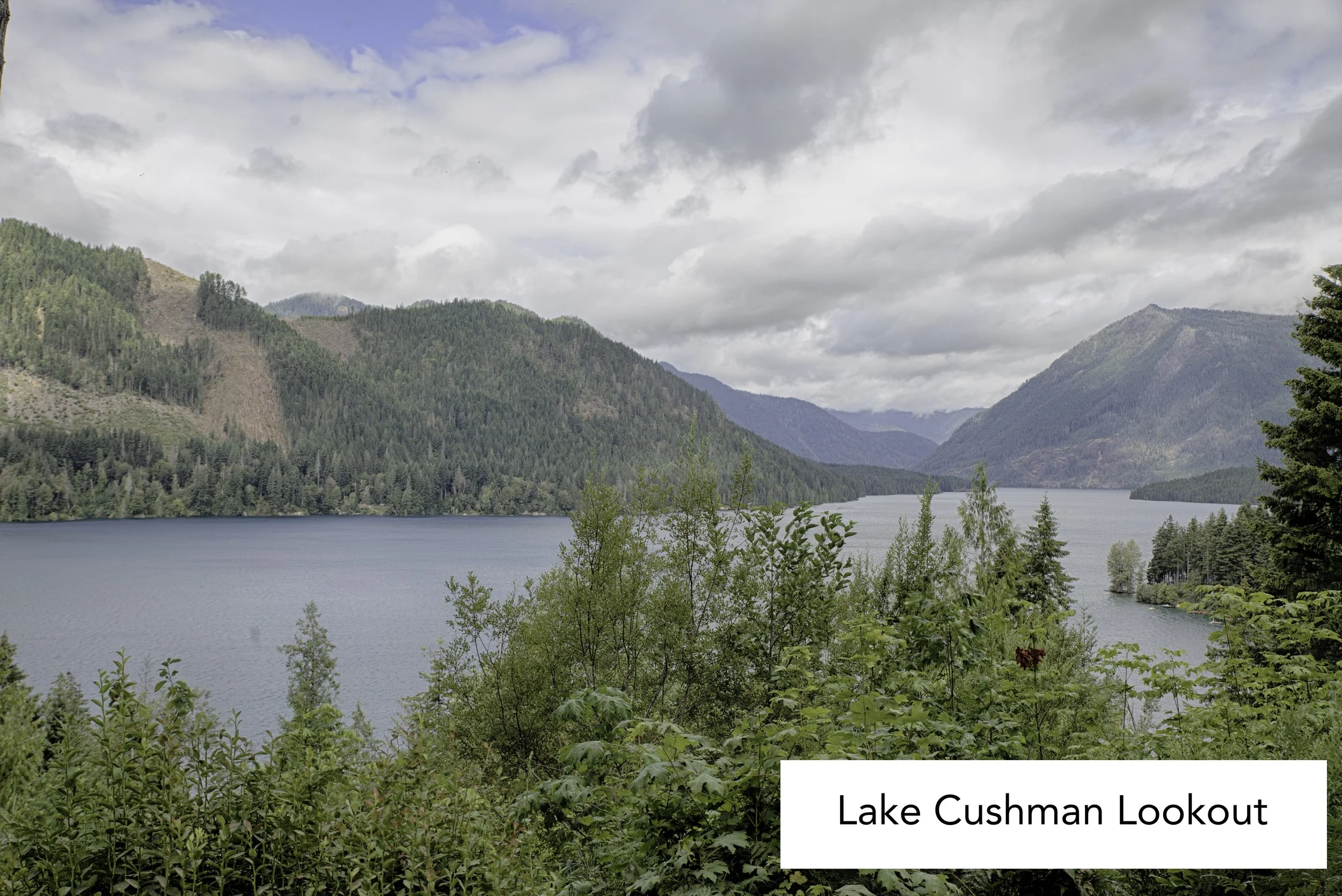 lake cushman lookout viewpoint.jpg