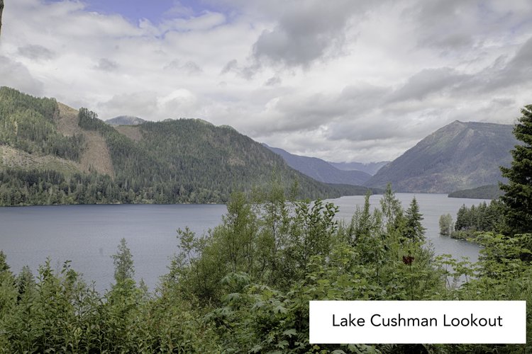 Lake Cushman Lookout view of the lake and Olympic Mountain ridges