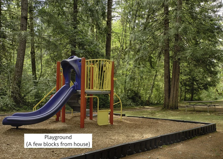 Neighborhood playground with blue slide in the woods, a few blocks from the house