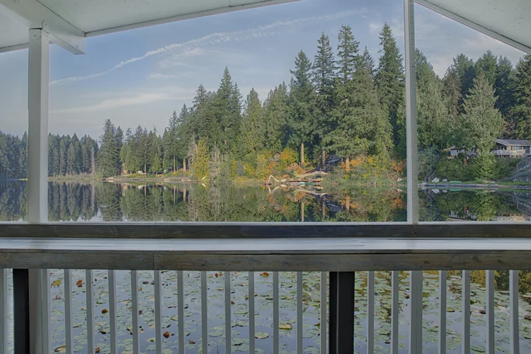 Lake view through the covered deck railing, with lily pads and evergreen shoreline