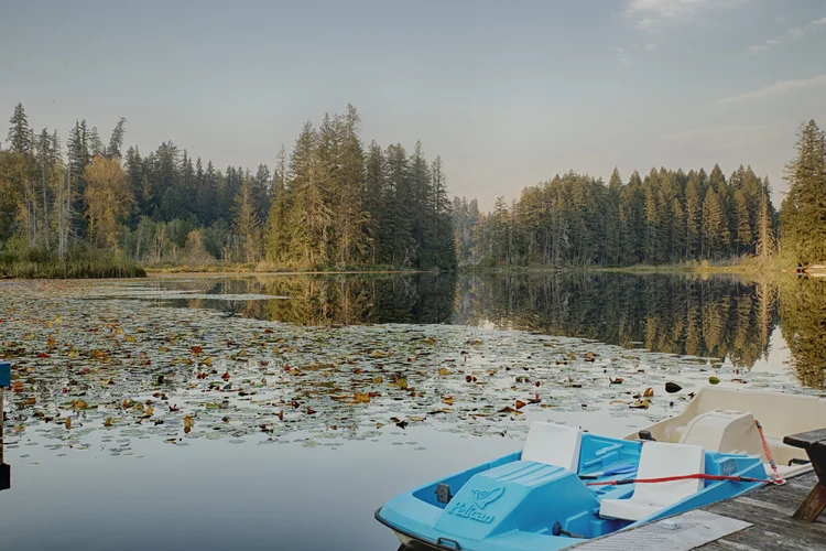 Blue paddle boat at the dock facing a lily pad lake lined with evergreens