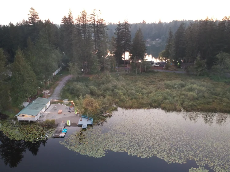 Aerial view of the Lakeside Wonderland cottage, lily pad shoreline and forest beyond