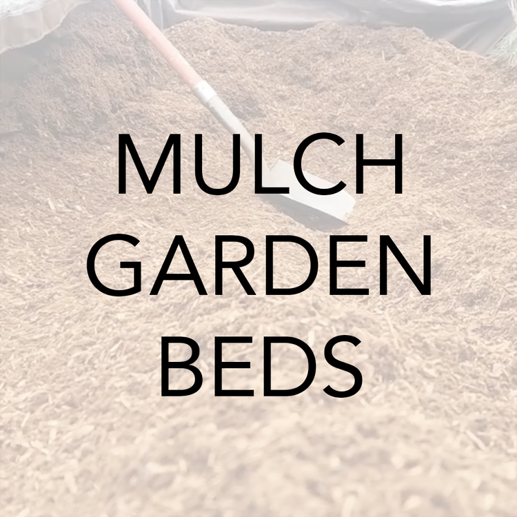 How to mulch and prep garden beds