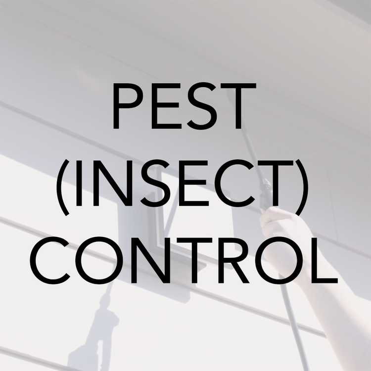 Pest control around the house