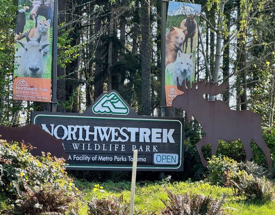 Northwest Trek Wildlife Park near Graham, WA