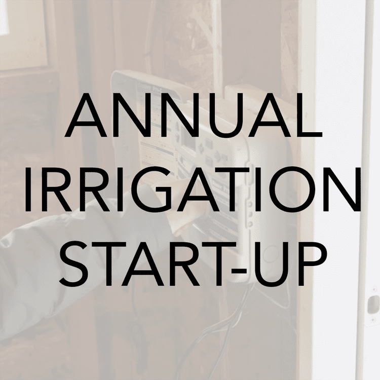 Spring sprinkler activation and leak check
