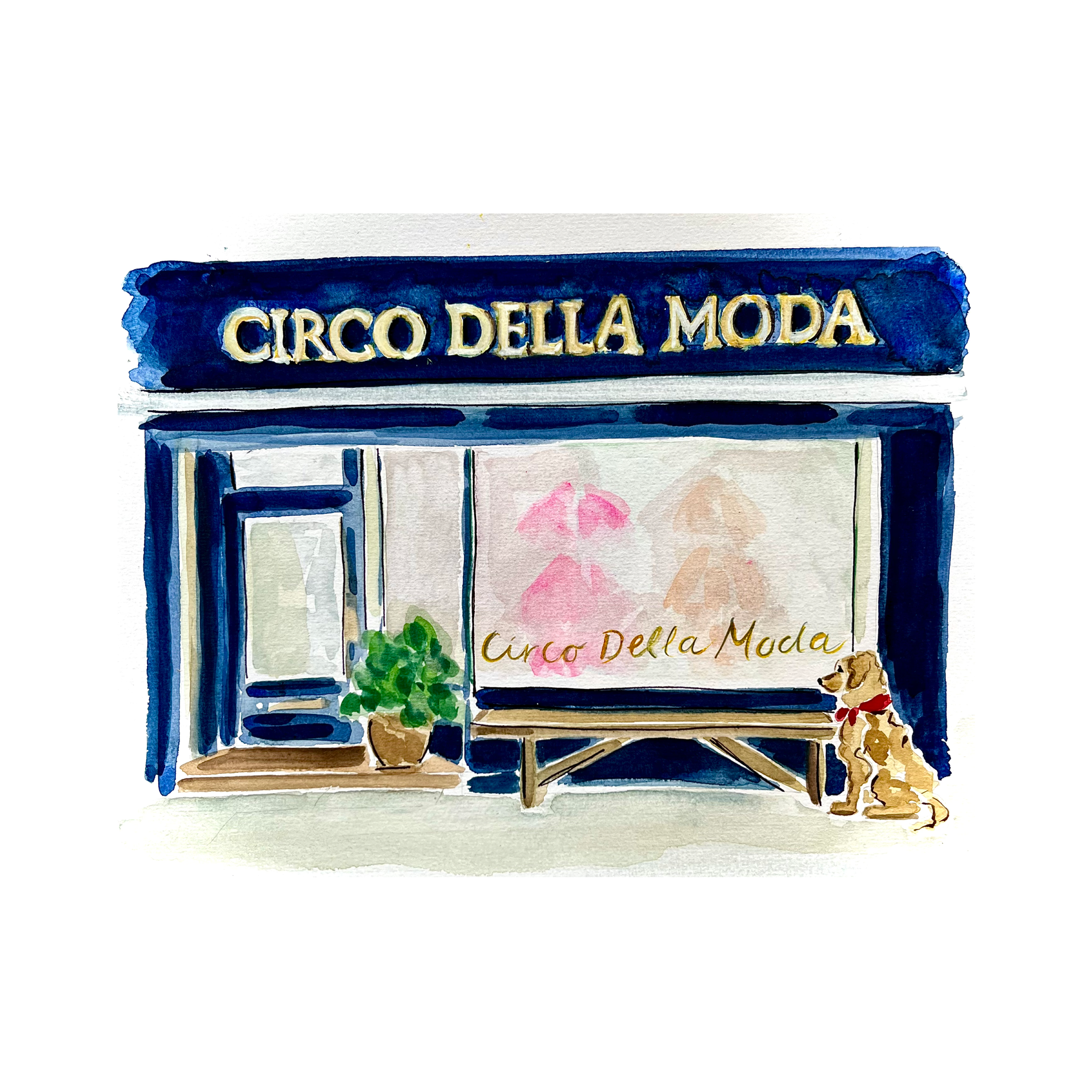 Vægsnit af et forretning med skiltet 'Circo Della Moda', vindue med spejlrefleksion, en grøn plante i krukke, og en hund med rødt halsbånd siddende udenfor.