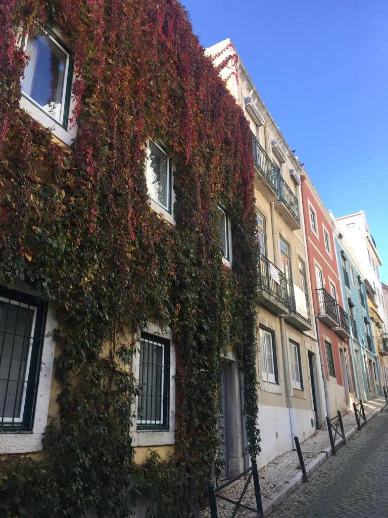 sweetlisboa-casbablanca.jpeg