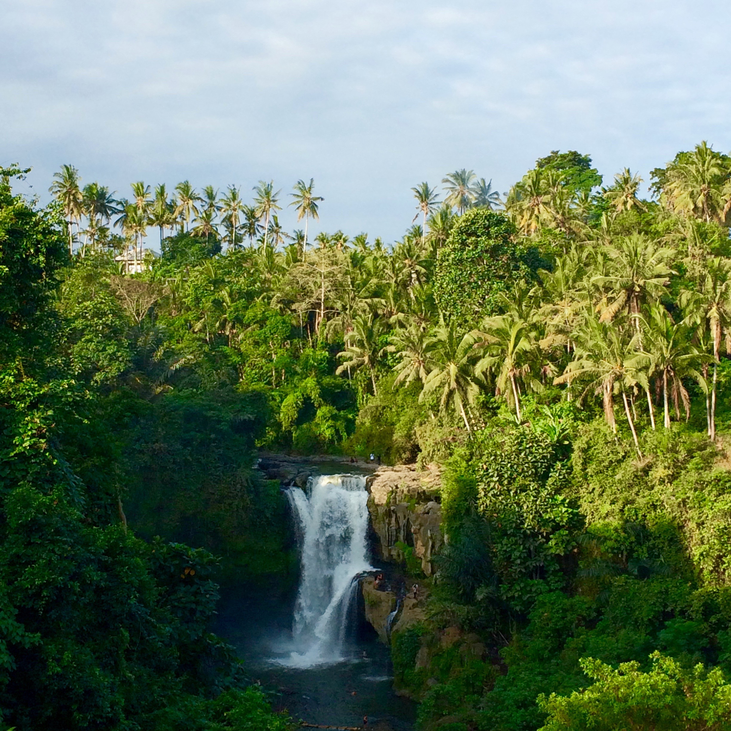 Wasserfall grün.jpg