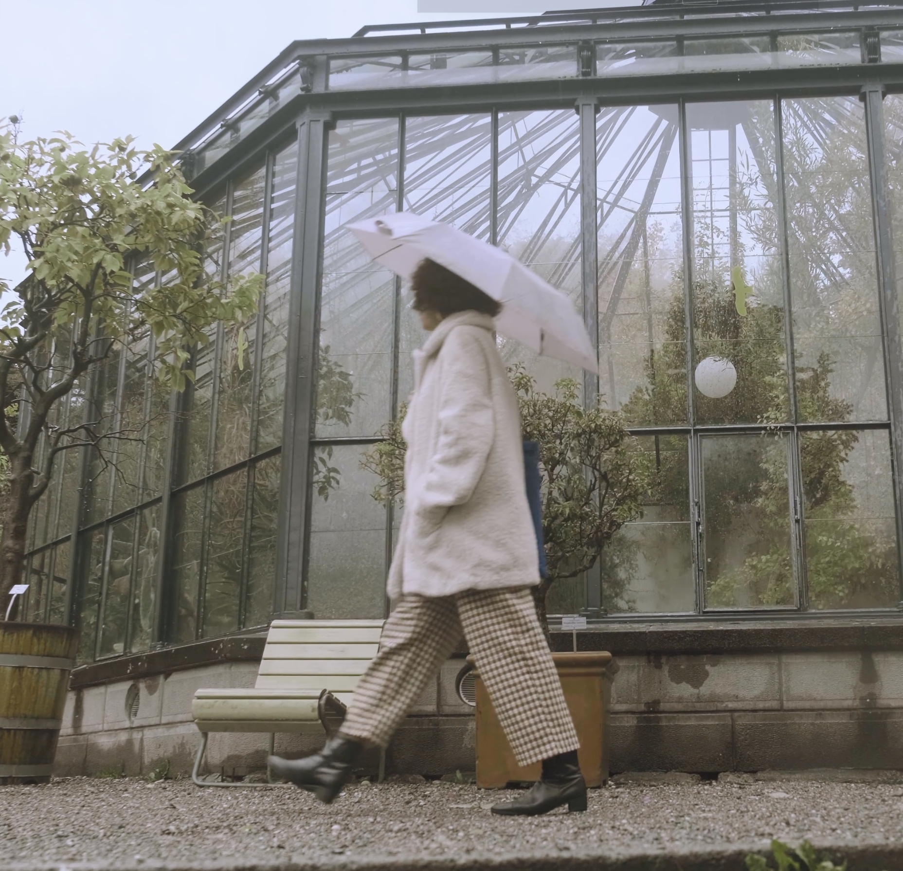 7 Women in Dear Aline (Video 3/7)