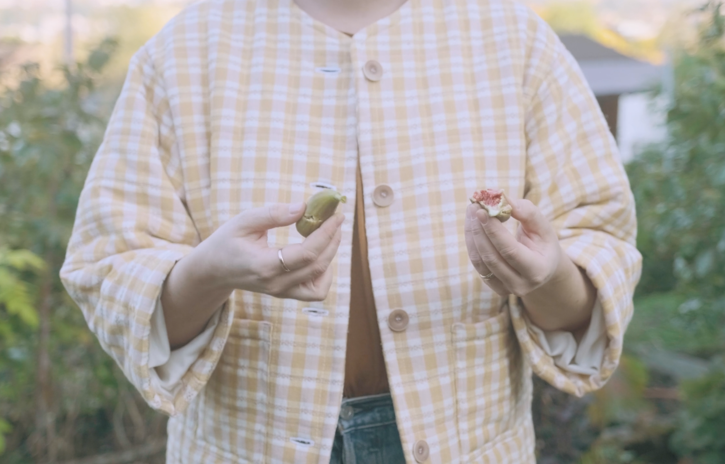 7 Women in Dear Aline (Video 4/7)