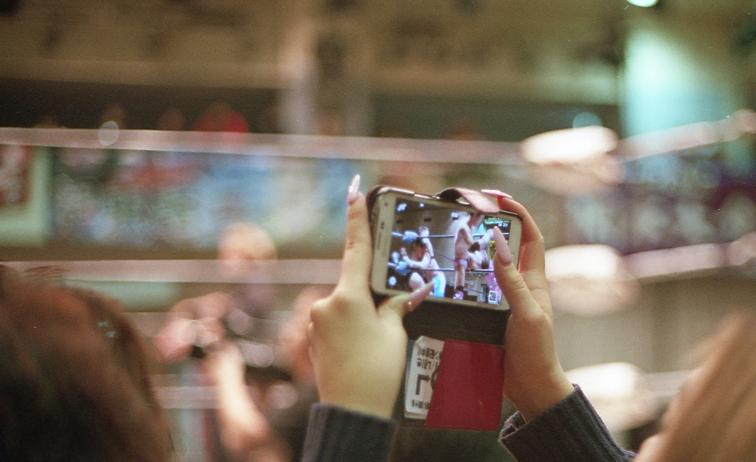 Photo by Elizabeth Reeder