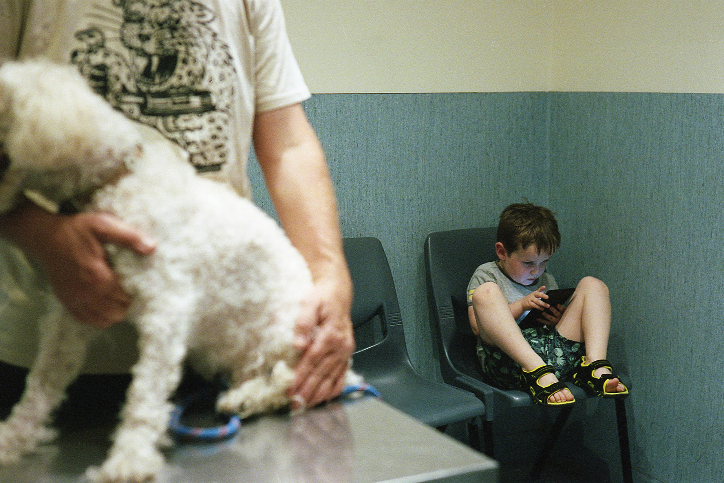 Photo by Elizabeth Reeder