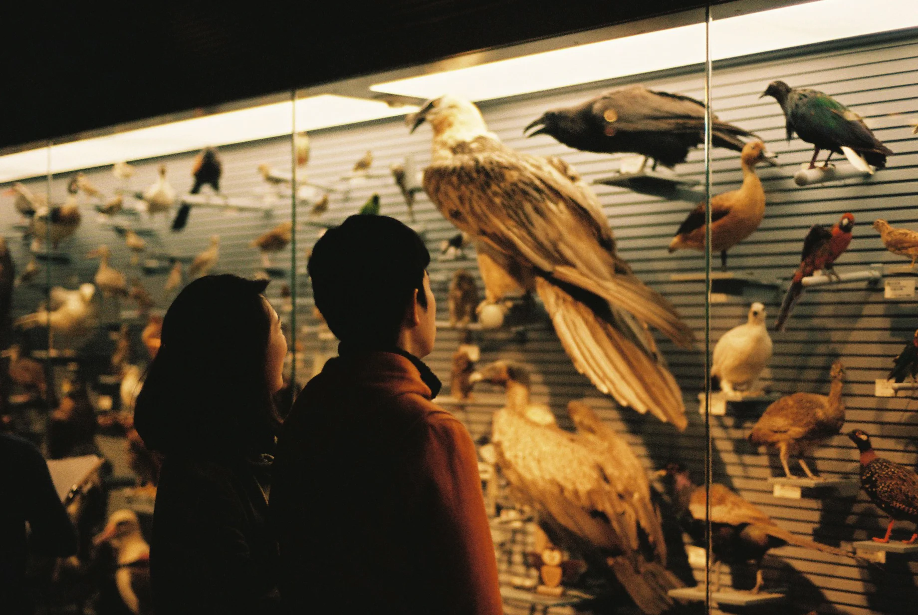 Photo by Elizabeth Reeder