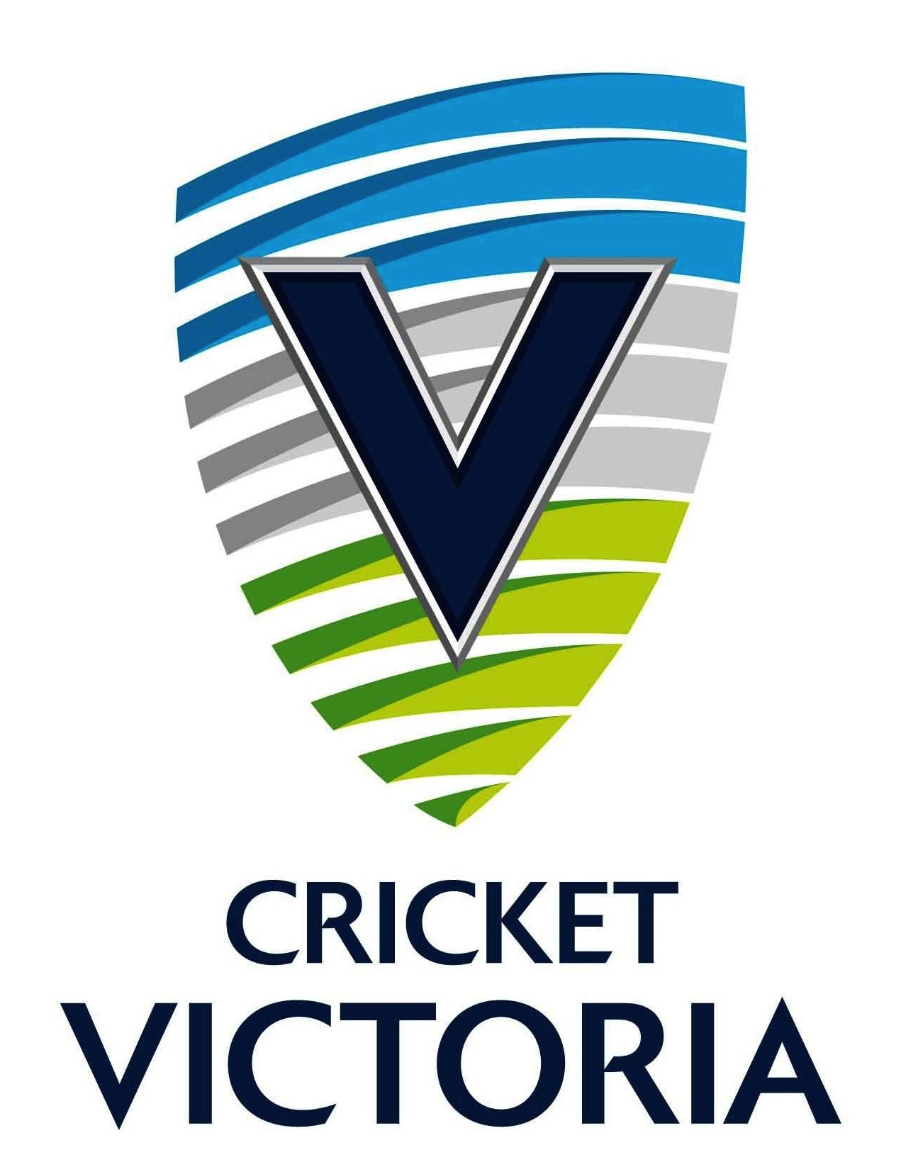 New_CV_Logo_Masuri_2921x.jpg