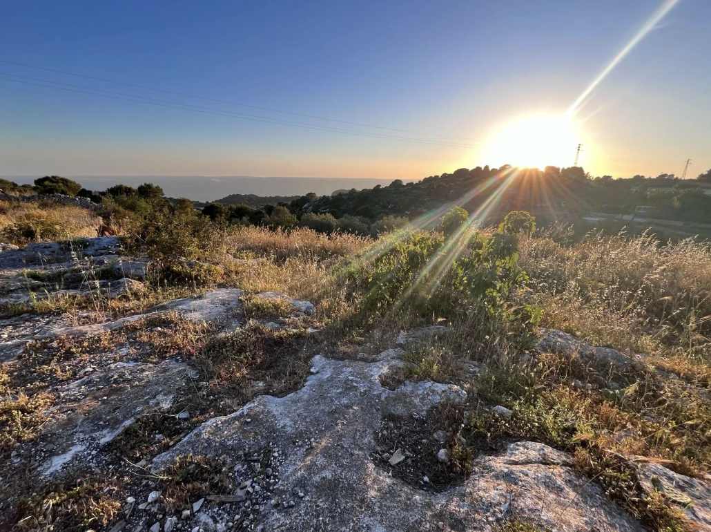 Screenshot 2026-02-06 at 14.44.27.png