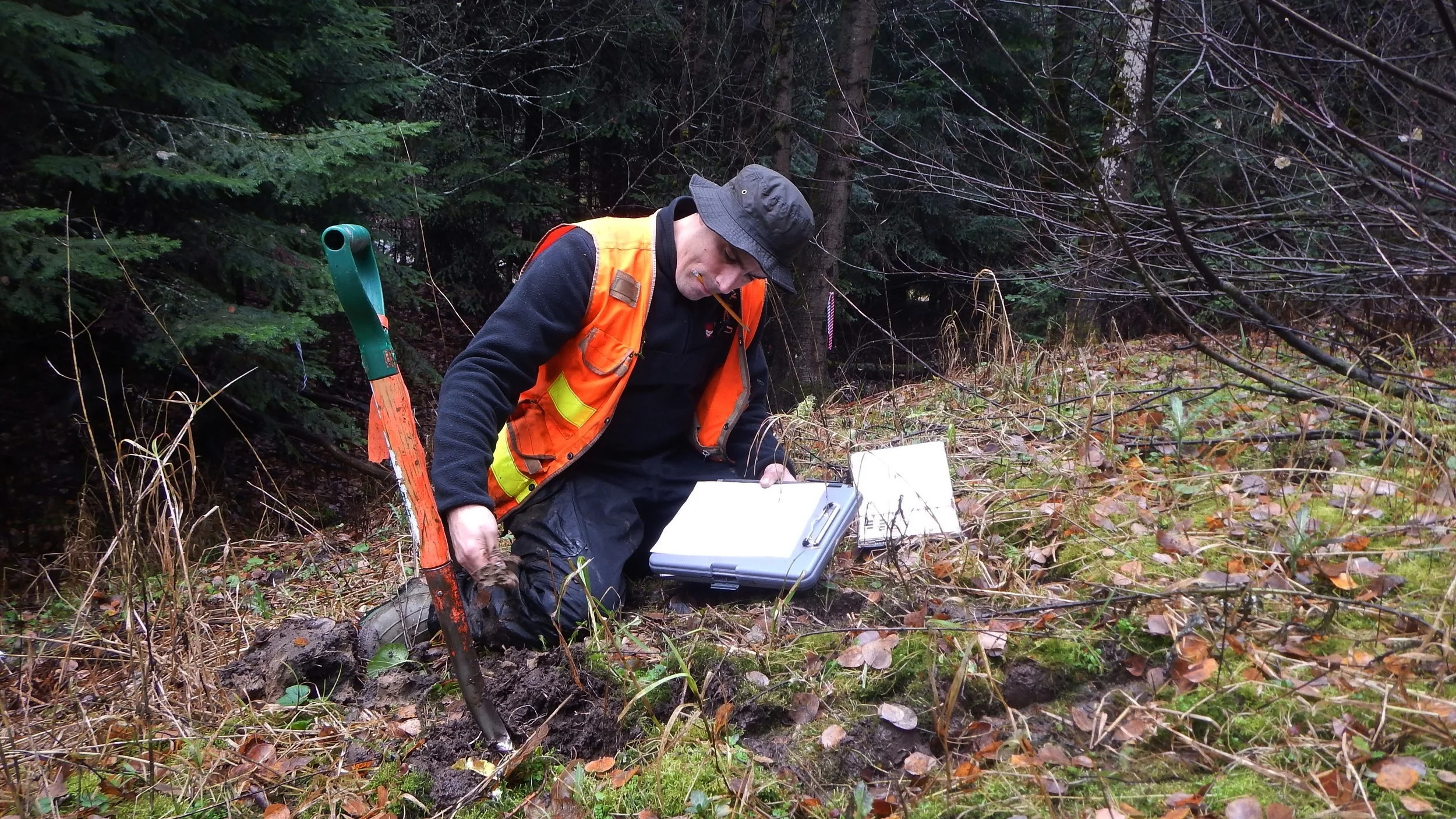 RK - Wetland Delineation at Mt Spokane SP.JPG