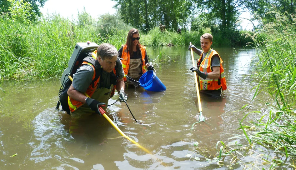 Electrofishing-Fish-Exclusion-Watershed-Company-Web.jpg