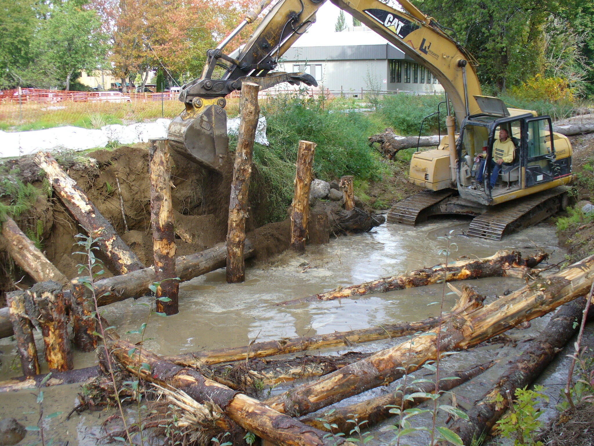 Over 120 pieces of LWD were installed along Issaquah Creek.jpg