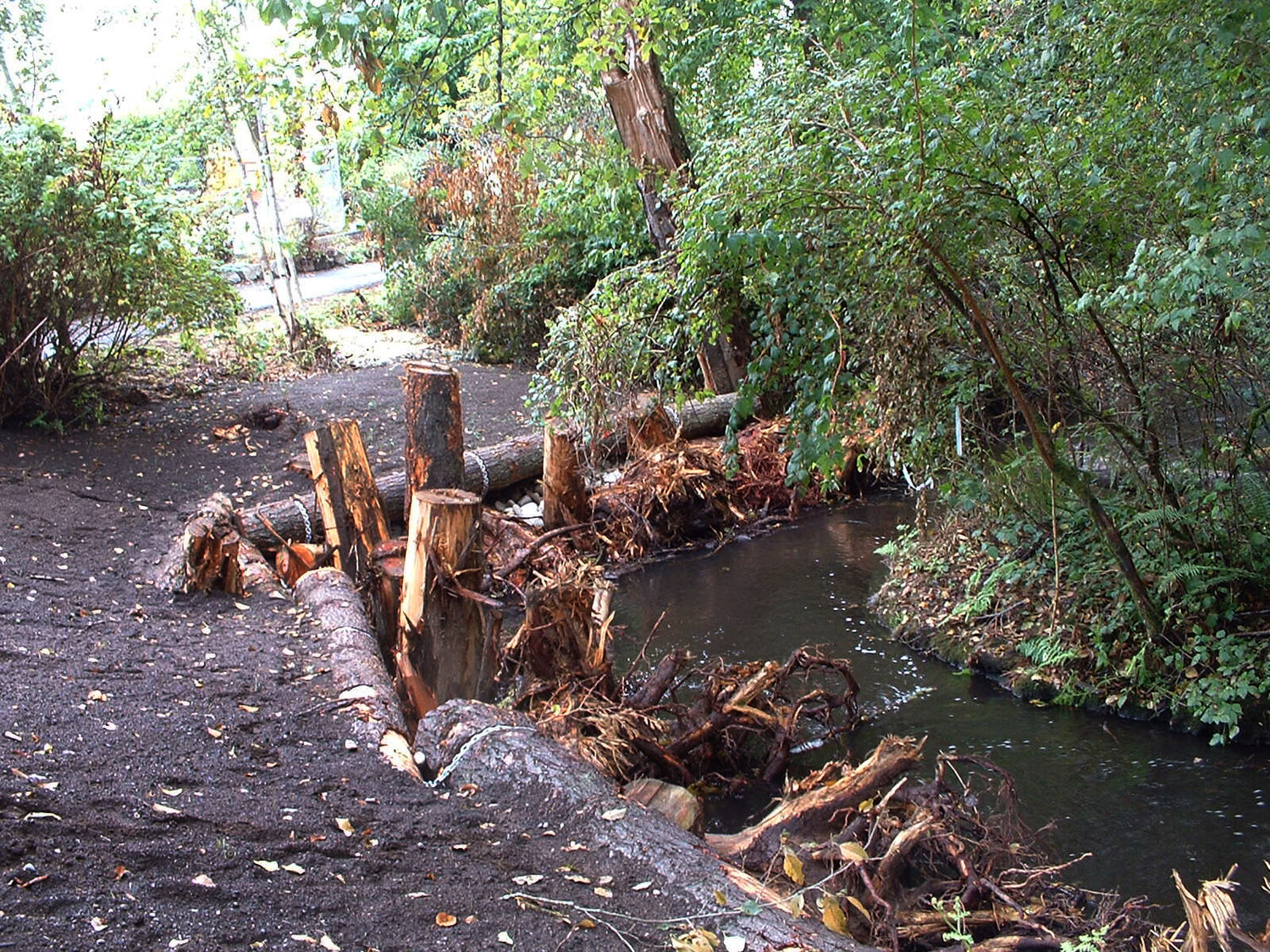 North Creek Restoration