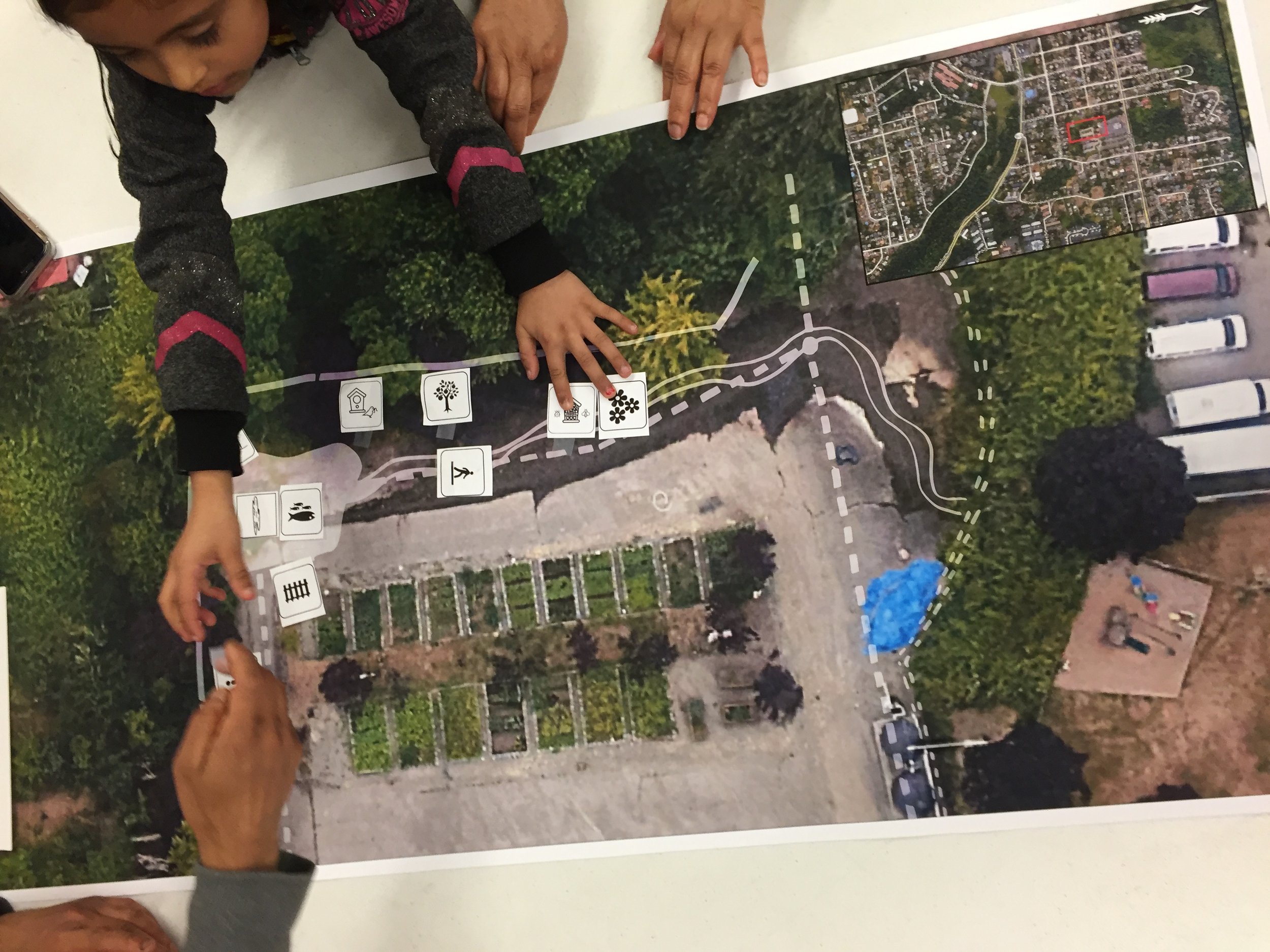 Interpretive Planning for a Community Garden