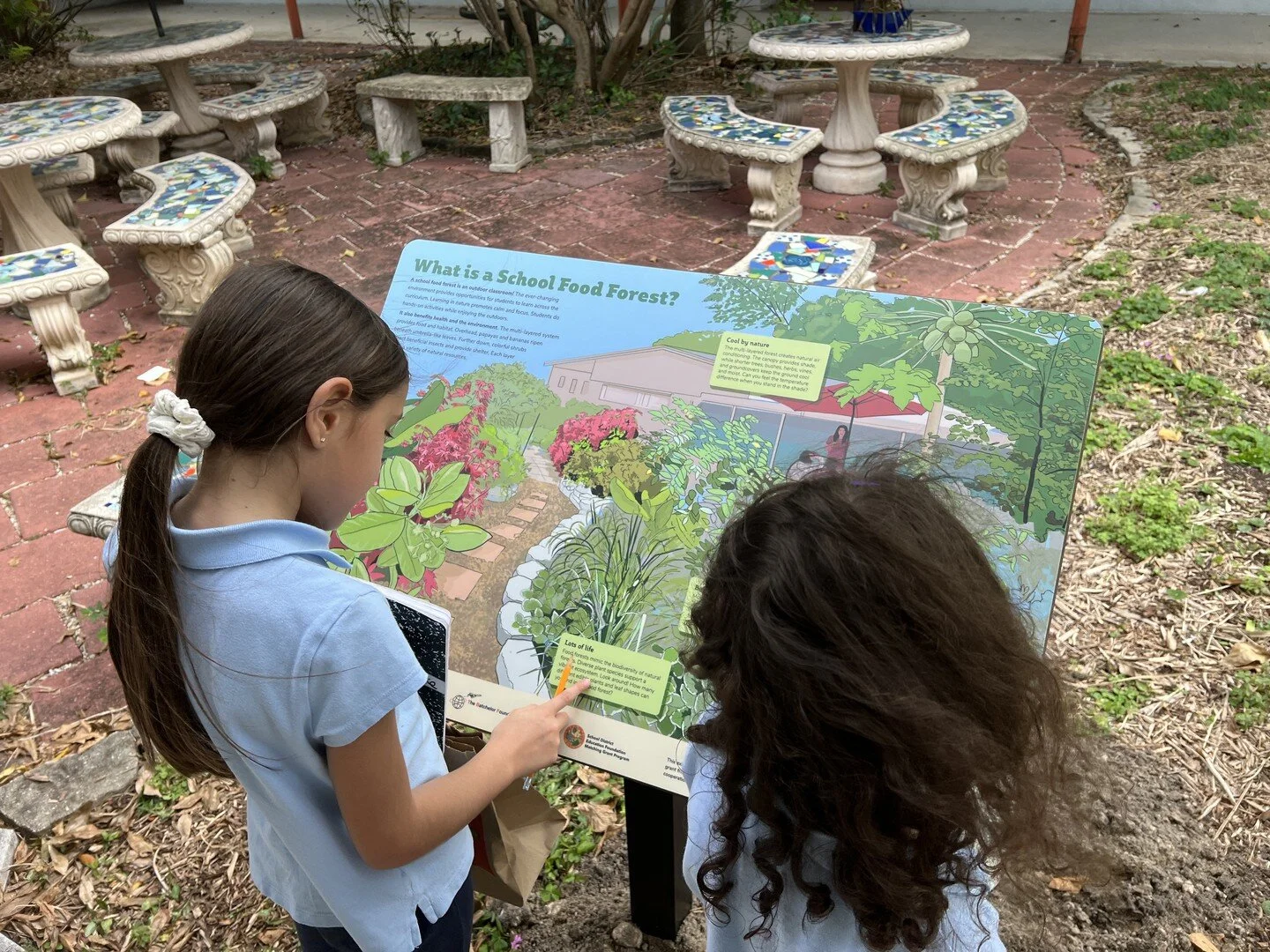 What is a School Food Forest? 🤔🌴 For many Miami elementary schools, Food Forests are fragrant havens filled with tropical fruits, wildlife, and outdoor learning opportunities. 🌺🍌🦎 We worked with our clients at the Miami Ed Fund (@educationfundmi