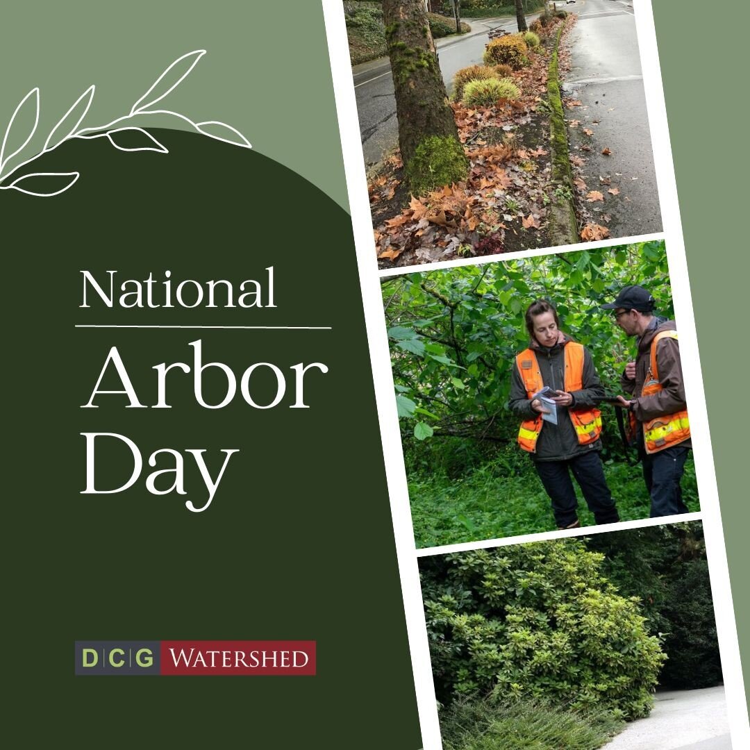 It's officially Arbor Day, a holiday where communities around the globe gather to celebrate and plant trees for a greener tomorrow!

Did you know DCG/Watershed offers urban forestry and arboriculture services? Our urban foresters are ISA Certified Ar