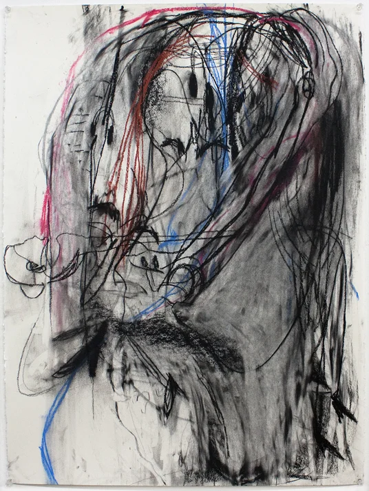 Charcoal, chalk pastel, and graphite on paper 30” x 22” 2019