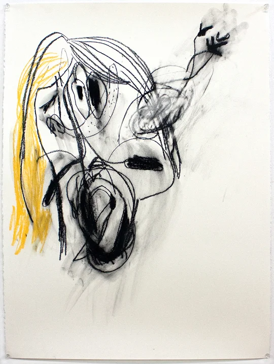 Charcoal, chalk pastel, and graphite on paper 30” x 22” 2019